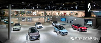 产业观察丨从产品阵容看中国电动汽车企业后补贴时代的应对策略